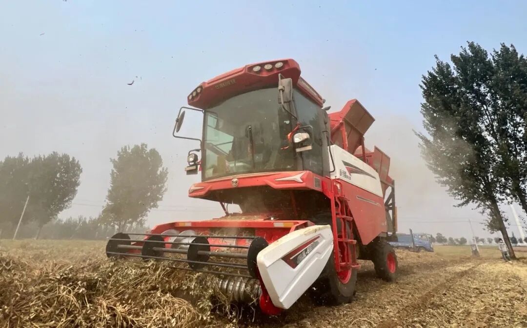 河南開封張師傅:中聯(lián)收獲品質(zhì)值得信賴 1.jpg