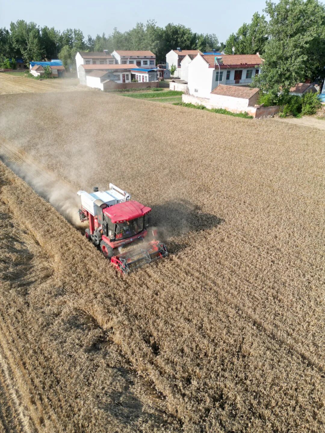 30年只做一件事:為什么越來越多農(nóng)機(jī)手認(rèn)準(zhǔn)「中聯(lián)收獲」? 30年只做一件事:為什么越來越多農(nóng)機(jī)手認(rèn)準(zhǔn)「中聯(lián)收獲」?(圖6)